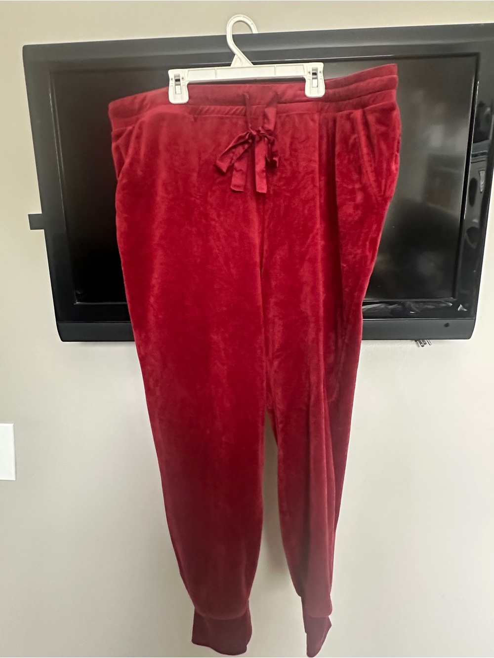 Torrid Cozy Red Velvet Jogger Pants